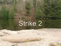 Trout Baseball - Rises all around while dry fly fishing Trout Baseball - Rises all around while dry fly fishing