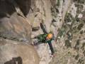 arenales argentinaclimb arenales argentinaclimb