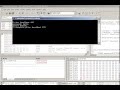 Exploiting a stack buffer overflow vulnerability (watch it in high quality)