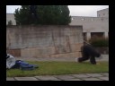 P�LVA TRIPP @ 01.11.08