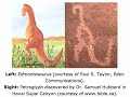 Walking amidst the dinosaurs part 2