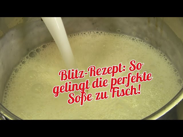 Die perfekte Fisch-Soße: Zitronenkokosschaum vom Chefkoch Die perfekte Fisch-Soße: Zitronenkokosschaum vom Chefkoch