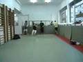 Dogen Center of Gravity