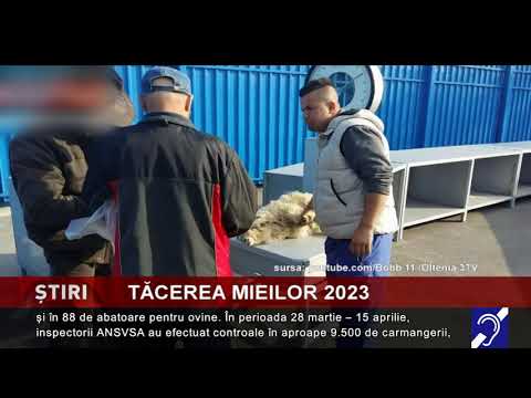Tăcerea mieilor 2023
