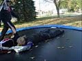 KCW Road Kill 2007