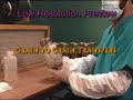 Grain to Grain Transfers