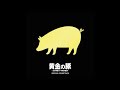黄金の豚−会計検査庁