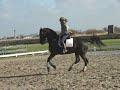 Tango C