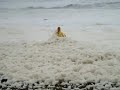 Frothy Ocean Eats Woman