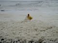 Frothy Ocean Eats Woman