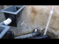 Part (9 of 10) - Koi Pond Construction - Sacramento koi filter system - lights - electrical 