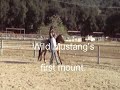 Mustang first mount Mustang first mount