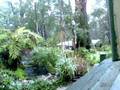 videos de Snow in Upwey on Aug 10 2008
