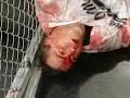 Shane Mcmahon Hell in a Cell Highlights Shane Mcmahon Hell in a Cell Highlights