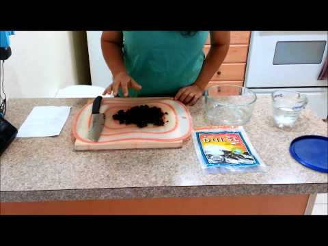 how to grow seaweed