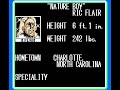 one of my favorite nes games. the best wrestling game on the nes. it's also one of the best of all time as far as i'm concerned. 12 of the best nwa/wcw wrestlers. each wrestler had 8 charge-up moves, two off-the-ropes moves, two top-turnbuckle moves, two non charge-up moves, and a unique finisher. you could also take it outside the ring with the standard 20 count applied. if you were lucky, you might find a wrench waiting for you. no other console wrestling game at the time came close to the ...