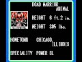 NES WCW Wrestling ( Intro )