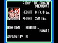 one of my favorite nes games. the best wrestling game on the nes. it's also one of the best of all time as far as i'm concerned. 12 of the best nwa/wcw wrestlers. each wrestler had 8 charge-up moves, two off-the-ropes moves, two top-turnbuckle moves, two non charge-up moves, and a unique finisher. you could also take it outside the ring with the standard 20 count applied. if you were lucky, you might find a wrench waiting for you. no other console wrestling game at the time came close to the ...
