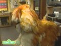 Sesame Street: In and Out With Barkley