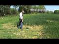 White's XLT metal detector with Norfolk Wolf.