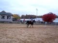 Rolex jump vertical