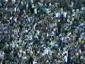 Gola�os Do Galo!