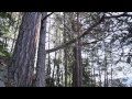 Inside, Out - A LASA Film Production