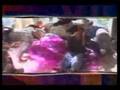 comedy43 afv comedy
