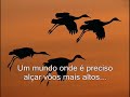 Sucesso