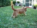Riley comes home
