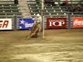 poney express st-tite