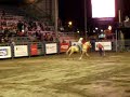 poney express st-tite