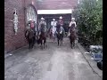 Jesus Carranza Caballos Saltarines TrotaMexico Jesus Carranza Caballos Saltarines TrotaMexico