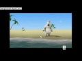 Windsurfing with bernard bear