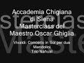 esecuzione del concerto in sol per due mandolini di vivaldi durante la masterclass tenuta dal maestro oscar ghiglia presso l'accademia chigiana di siena in luglio 2007.