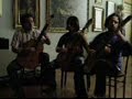 esecuzione del concerto in sol per due mandolini di vivaldi durante la masterclass tenuta dal maestro oscar ghiglia presso l'accademia chigiana di siena in luglio 2007.