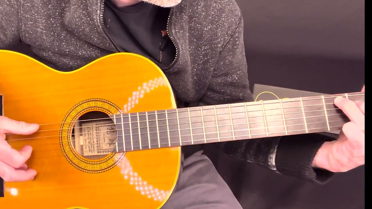 Takamine   C-132S   Playing
