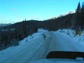 Caribou