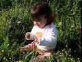 Mia Eshel in the golden fields