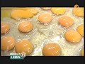 Schnitzel - WELTREKORD - !!!