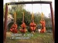 Myths and logic of S.K.F. Video