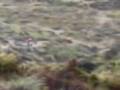 videos de enduro maracena