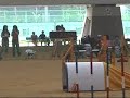 Dog Agility (Jun/21/2006 JKC Jumping Large Final Vol.4)