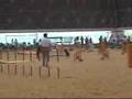 Dog Agility (Jun/21/2006 JKC Jumping Large Final Vol.4)