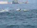 Campeonato de Nado con Aletas Iquique Mayo 2008