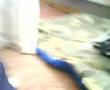 my dog