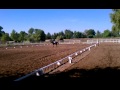 Click here to watch this video 2012 Golden Empire Arabian Horse Dressage Show