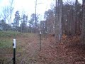 Deer jumping over electric fence