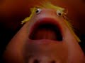 james-blond-vs-bob-patate.html