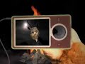 Zune: The Ballad of Lion and Gazelle